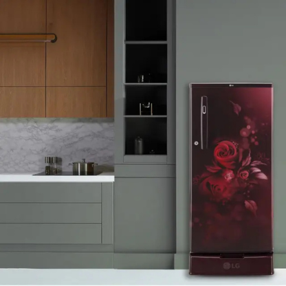 LG 185 LTR 2 STAR DIRECT COOL REFRIGERATOR GL-D199OSFC SCARLET FLORANCE