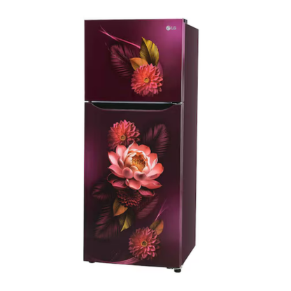 LG 240 LTR 2 STAR DOUBLE DOOR REFRIGERATOR GL-S292SRWY RED WATER LILY
