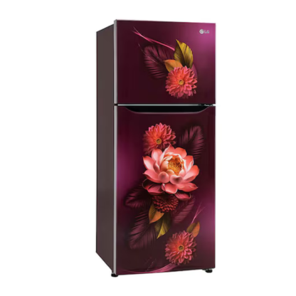 LG 240 LTR 2 STAR DOUBLE DOOR REFRIGERATOR GL-S292SRWY RED WATER LILY