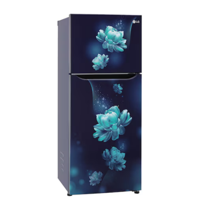 LG 242 LTR 2 STAR DOUBLE DOOR REFRIGERATOR GL-N292BBCY BLUE CHARM