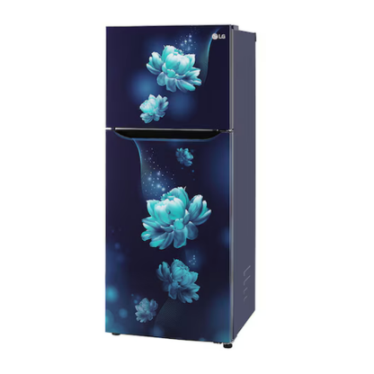 LG 242 LTR 2 STAR DOUBLE DOOR REFRIGERATOR GL-N292BBCY BLUE CHARM