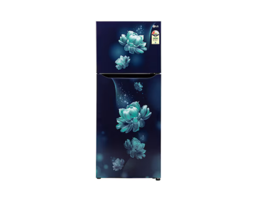 LG 242 LTR 2 STAR DOUBLE DOOR REFRIGERATOR GL-N292BBCY BLUE CHARM